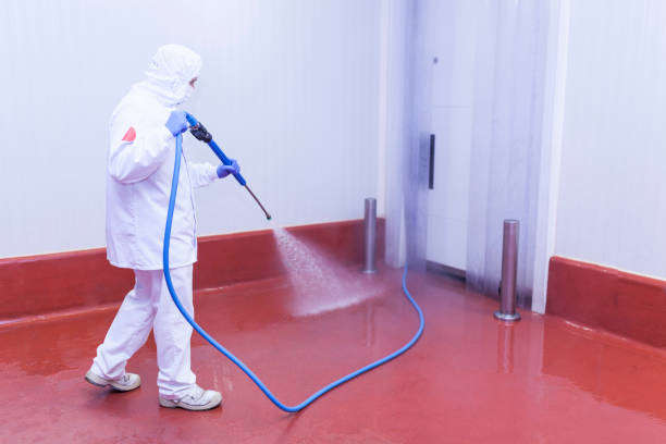 Best Parking Lot Cleaning in Eveleth, MN